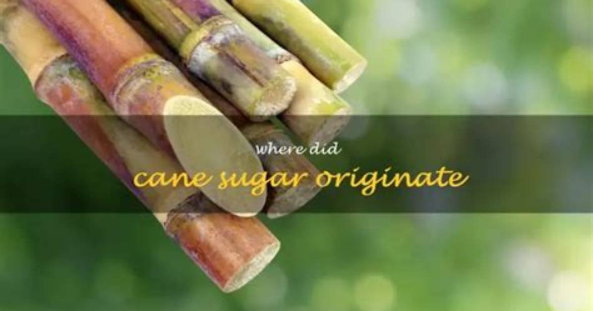 When Did Sugar Cane Originate?