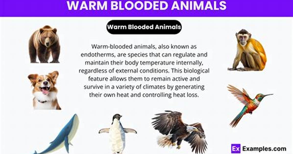 When Did Warm Blooded Animals Evolve?