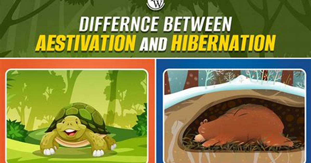 When Do Animals Aestivate?
