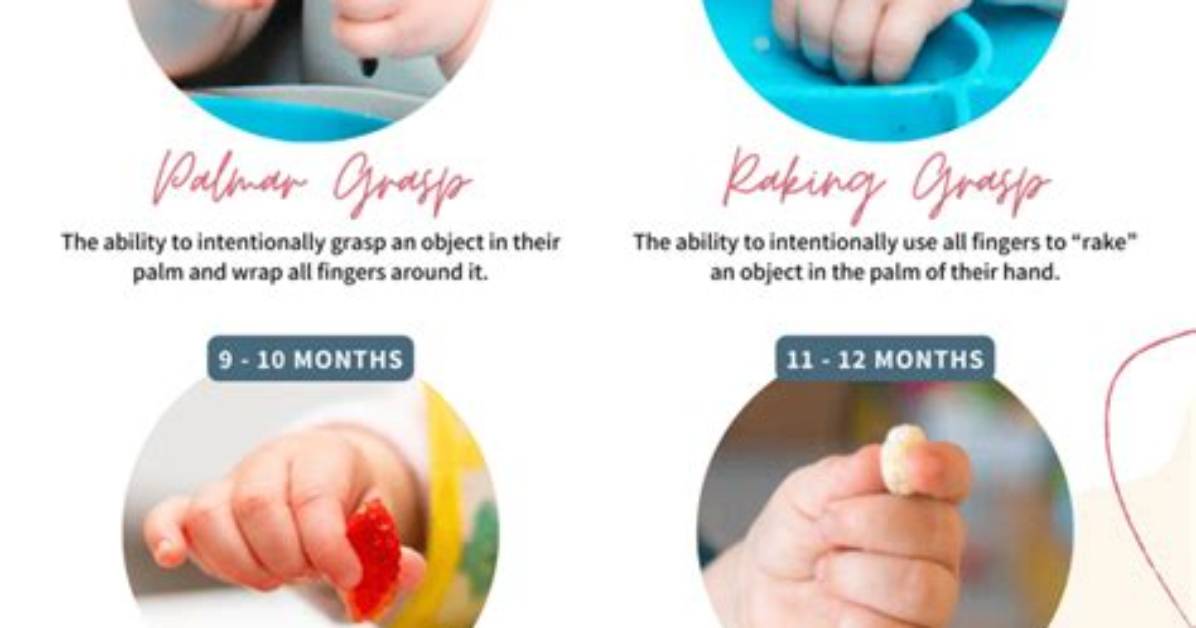 When Do Babies Develop Pincer Grasp?