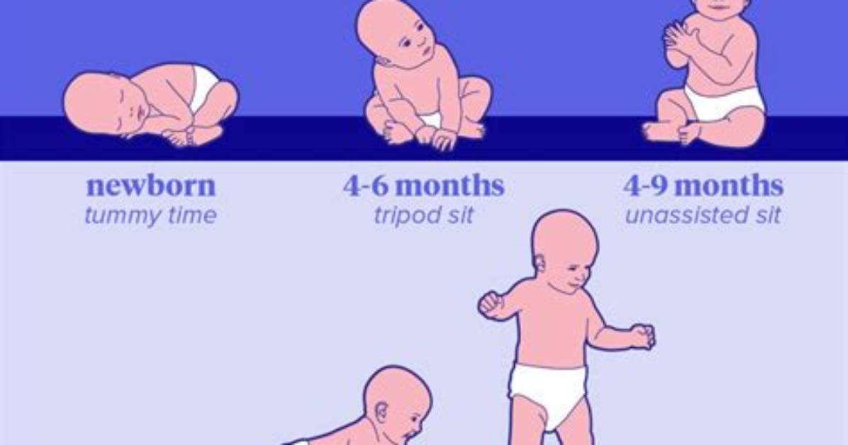 When Do Babies Sit up and Crawl?