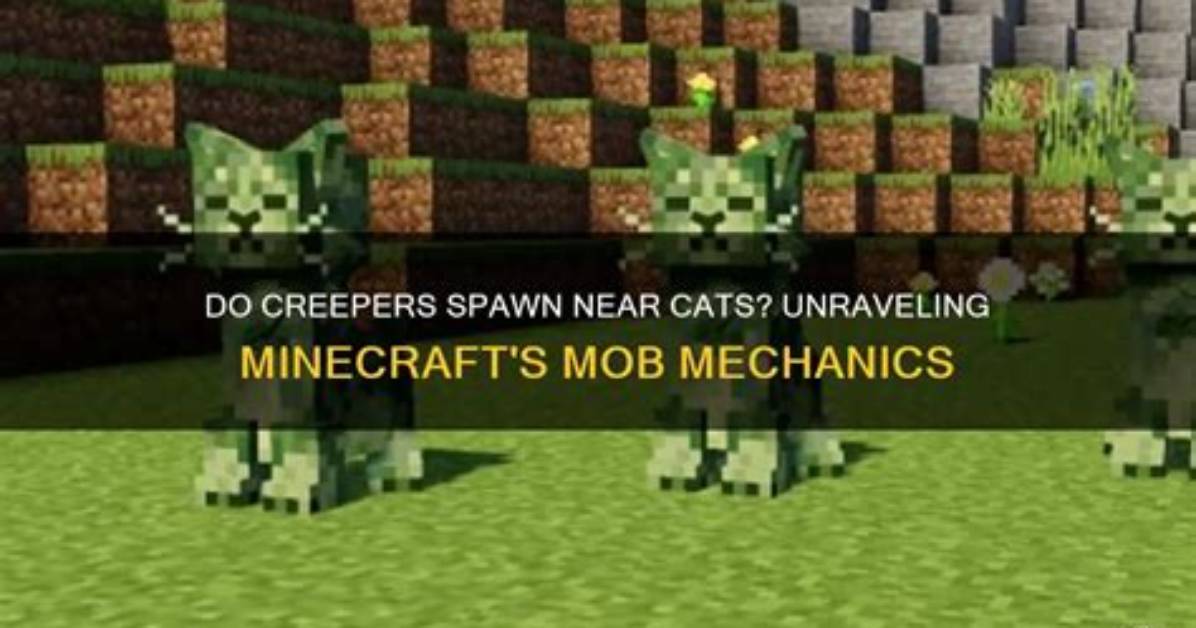 When Do Creepers Spawn?
