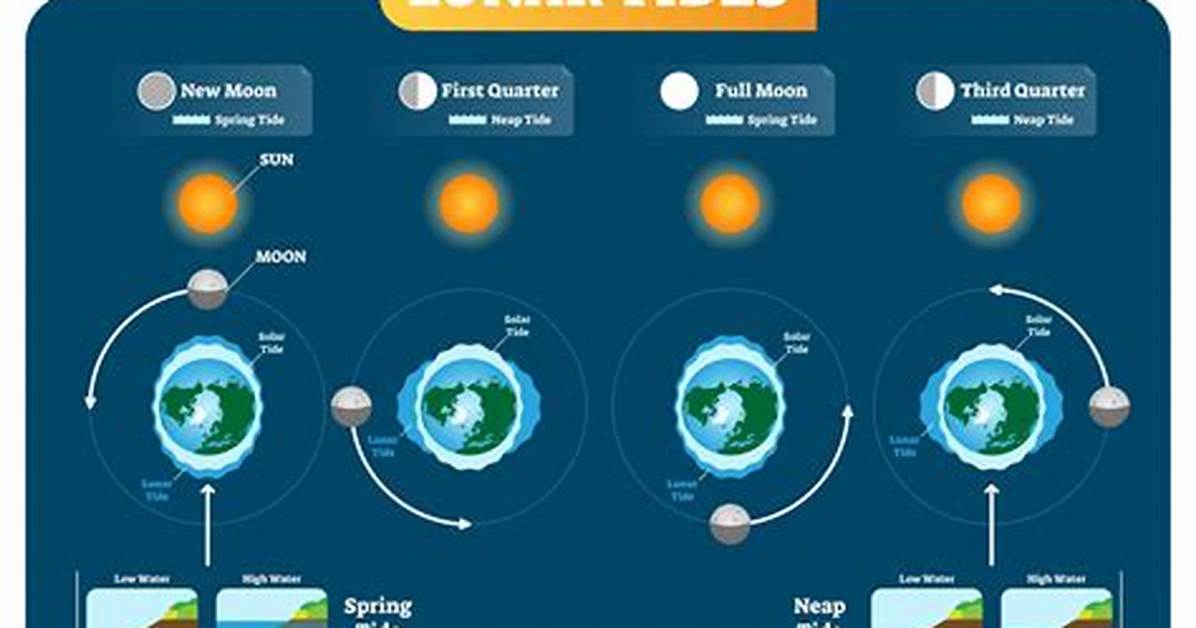 When Do Diurnal Tides Occur?