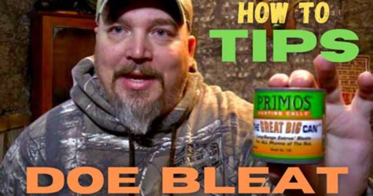 When Do Doe Bleats Work?