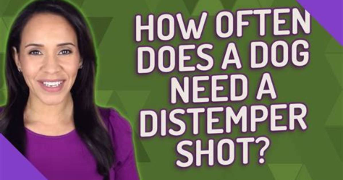 When Do Dogs Get Distemper Shots?