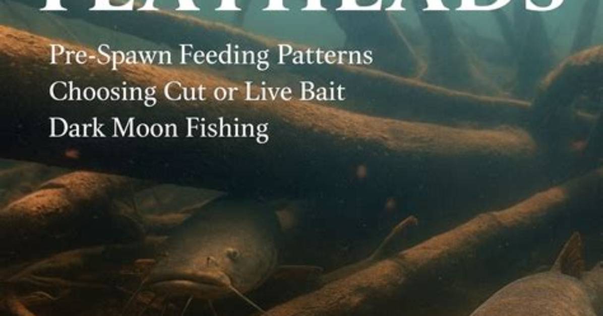 When Do Flatheads Spawn in Iowa?