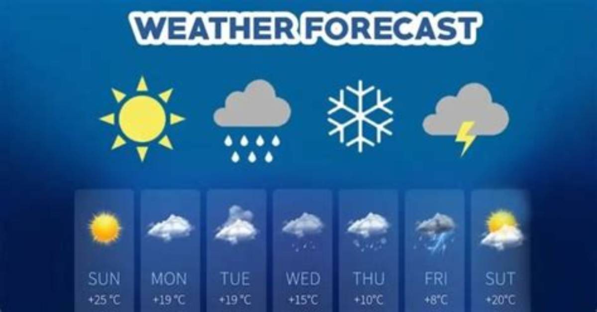 When Do Forecasters Predict?