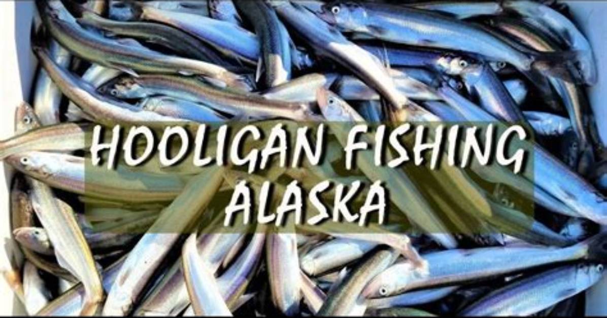 When Do Hooligan Run in Alaska?