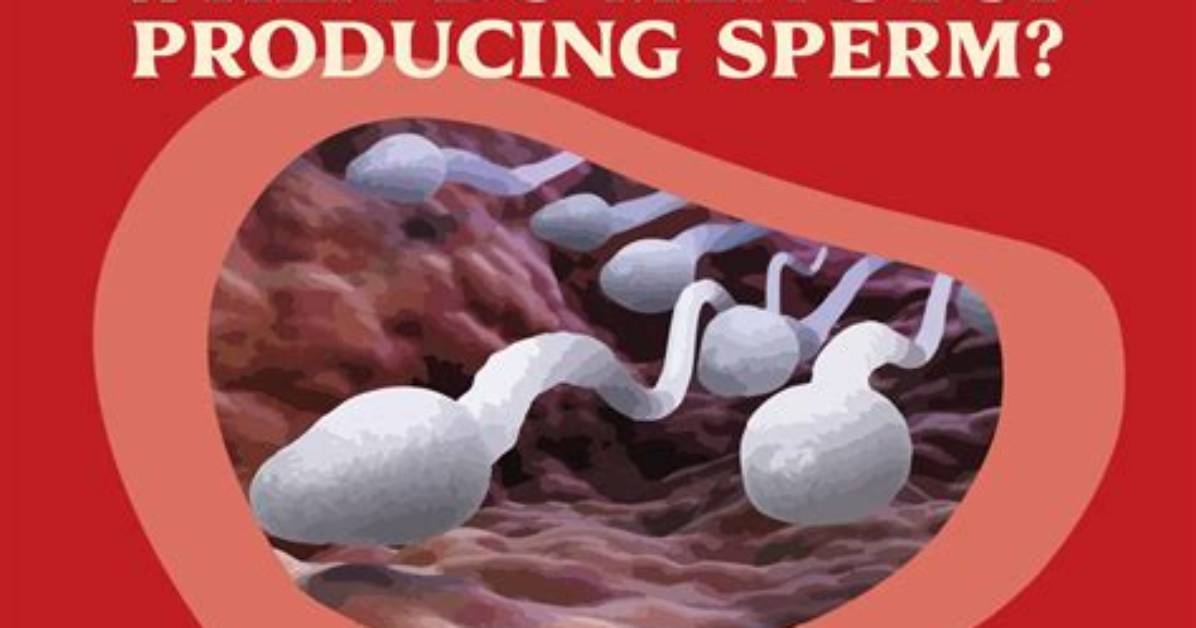 When Do Males Start Producing Sperm?