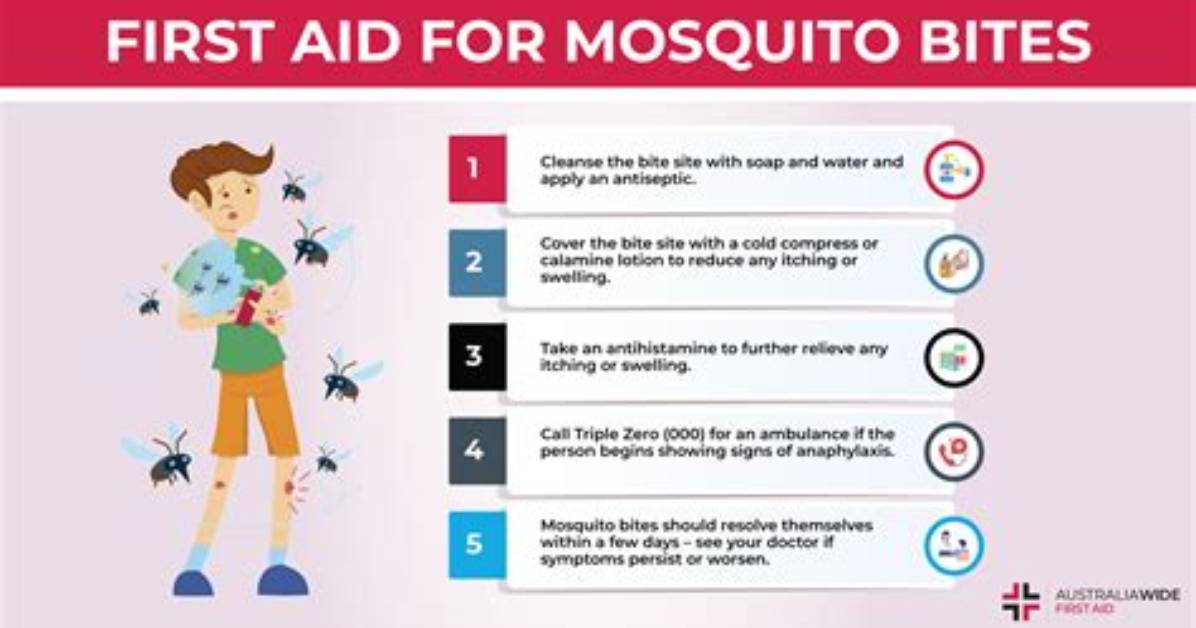 When Do Mosquito Bites Go Away?