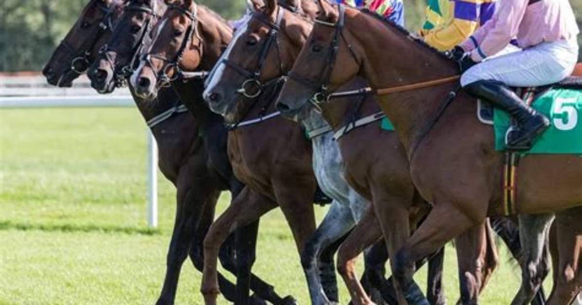 When Do Racehorses Get Named?