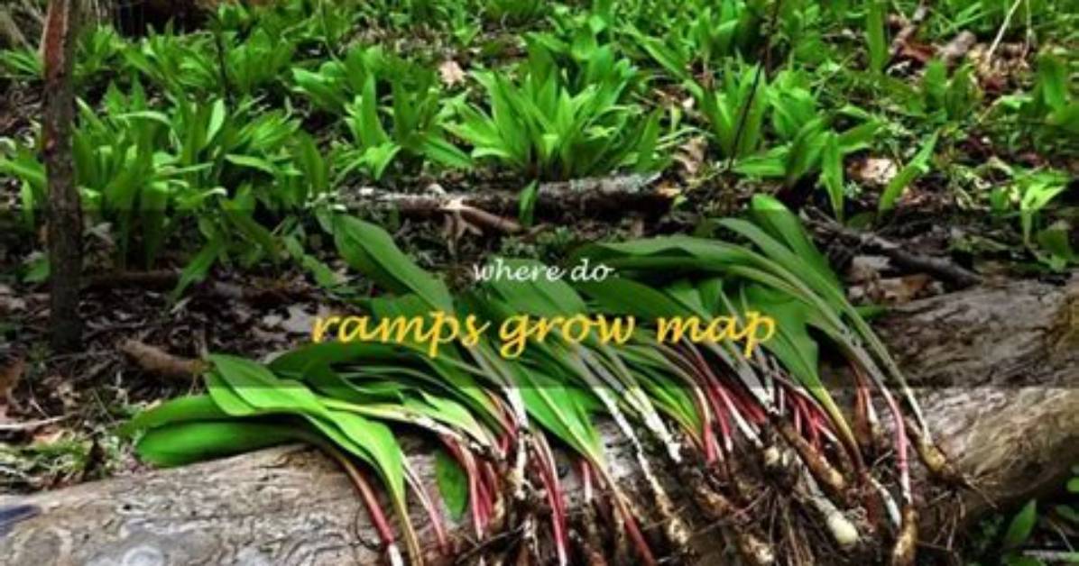 When Do Ramps Grow?