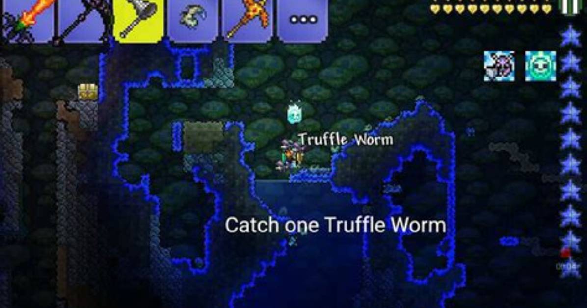 When Do Truffle Worms Spawn?