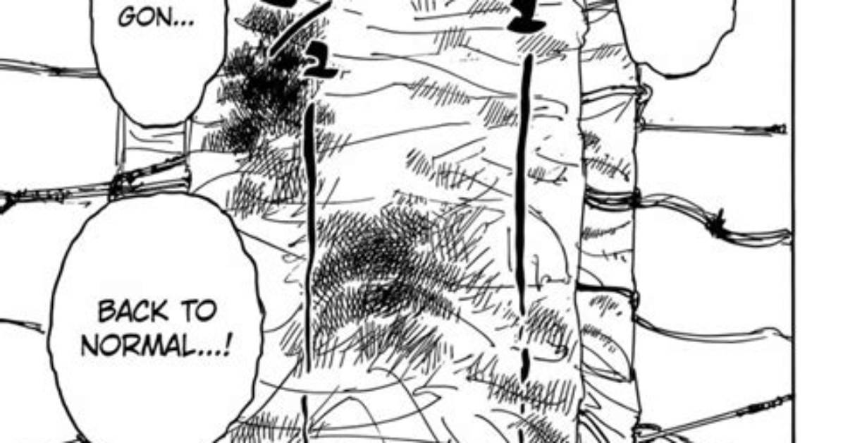 When Does Alluka Heal Gon?
