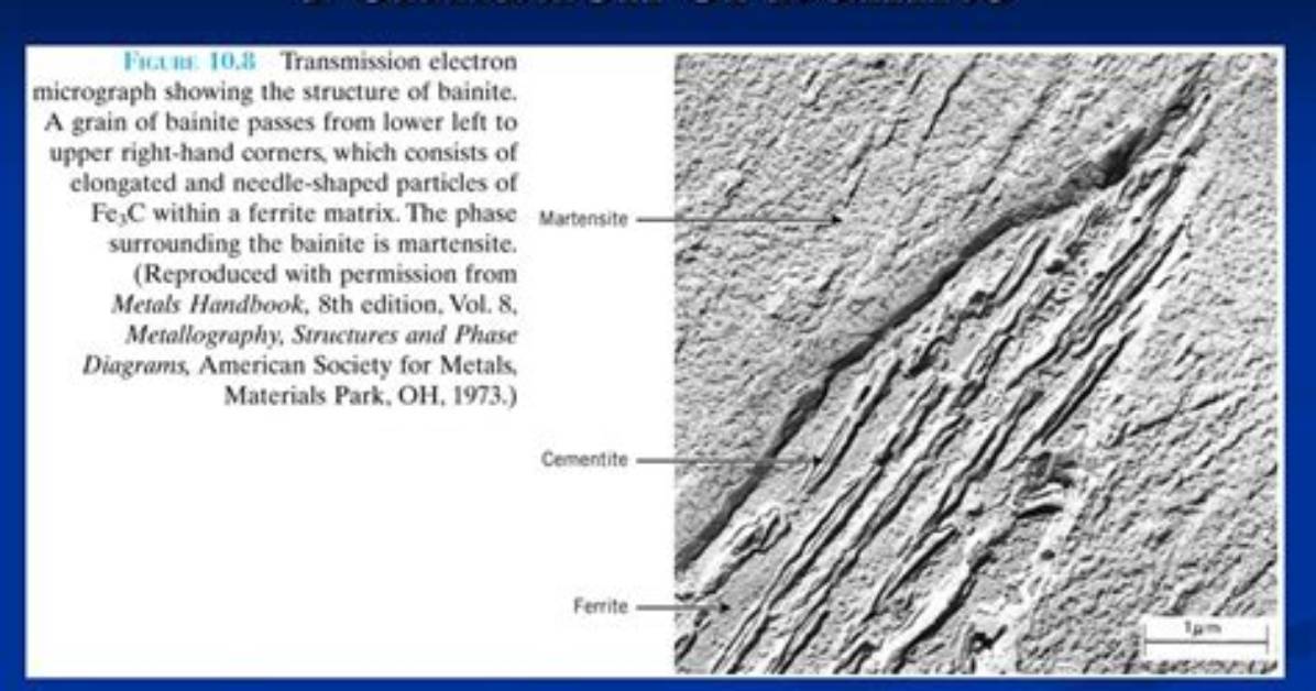 When Does Bainite Form?