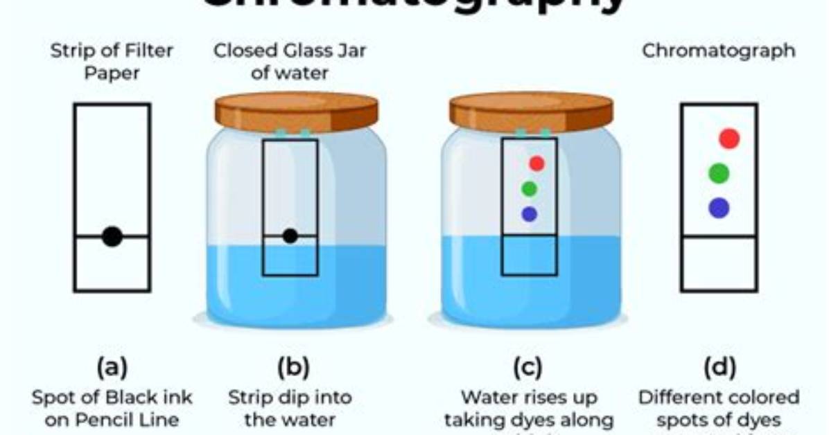 When Does Chromatography Mean in Science?