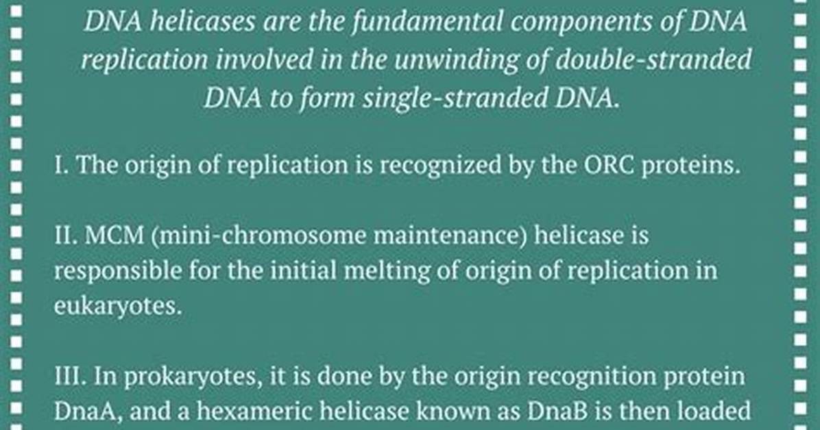 When Does Dna Unwind?