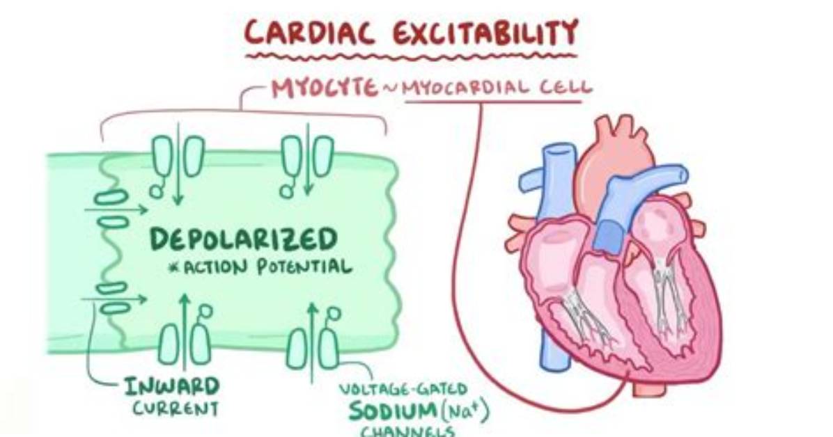 When Does Excitability Mean?