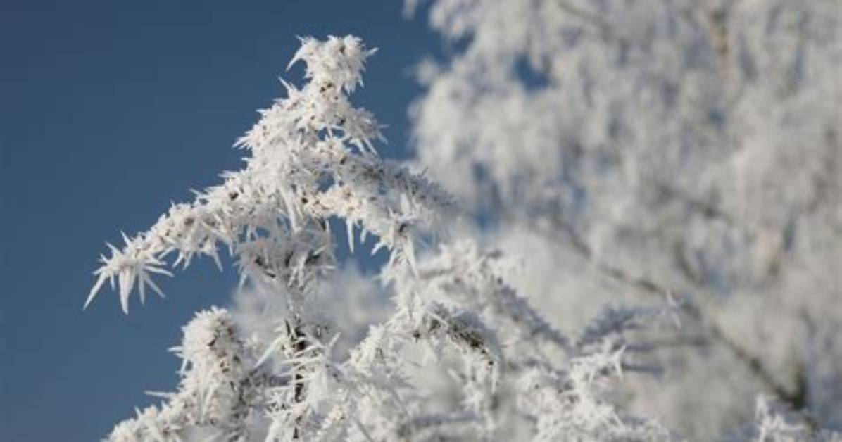 When Does Hoarfrost Form?