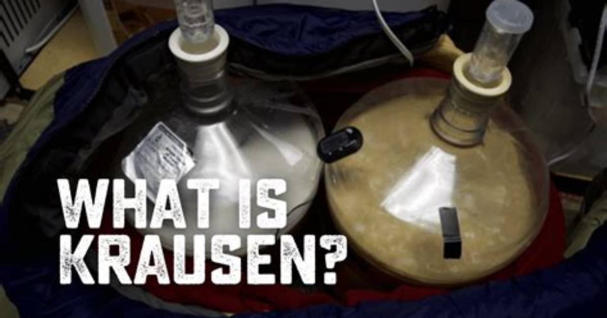 When Does Krausen Fall?