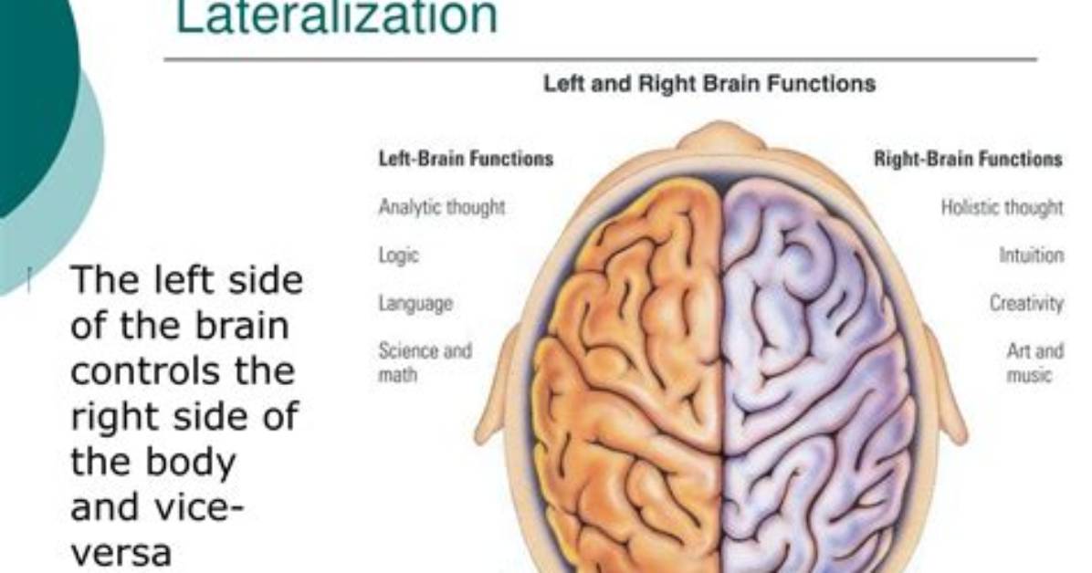 When Does Lateralization Occur?