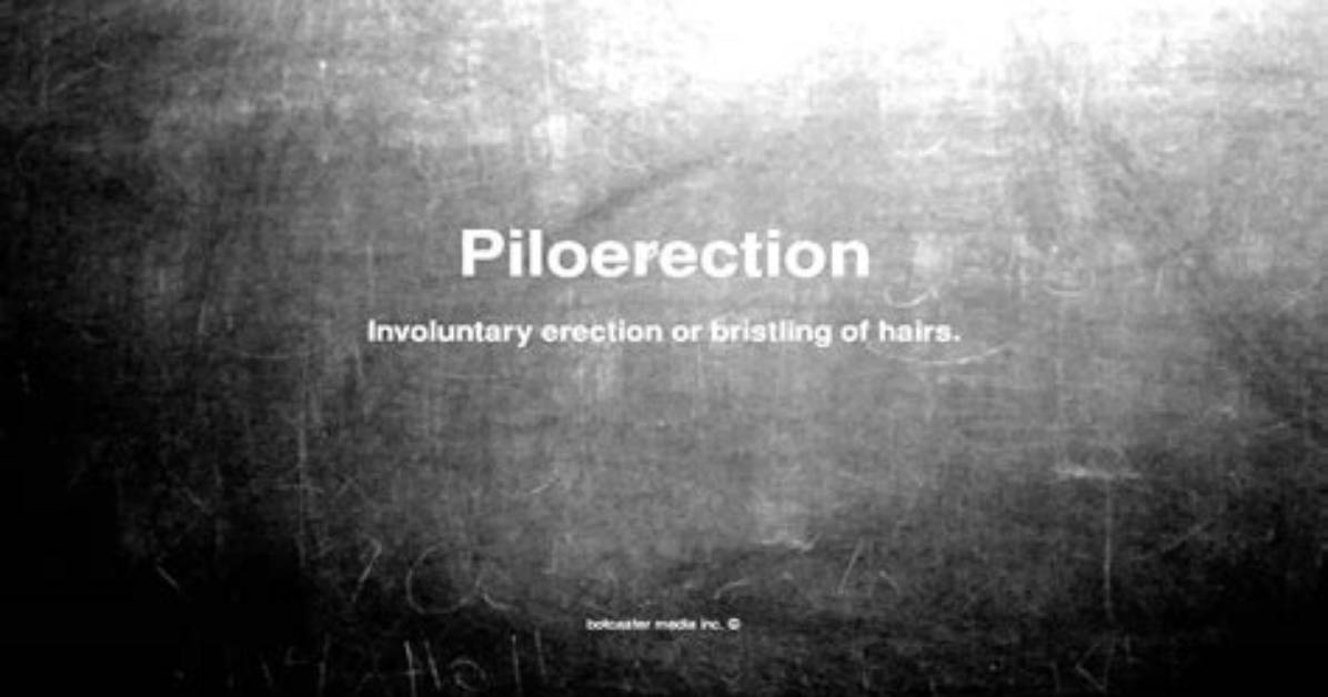 When Does Piloerection Occur?