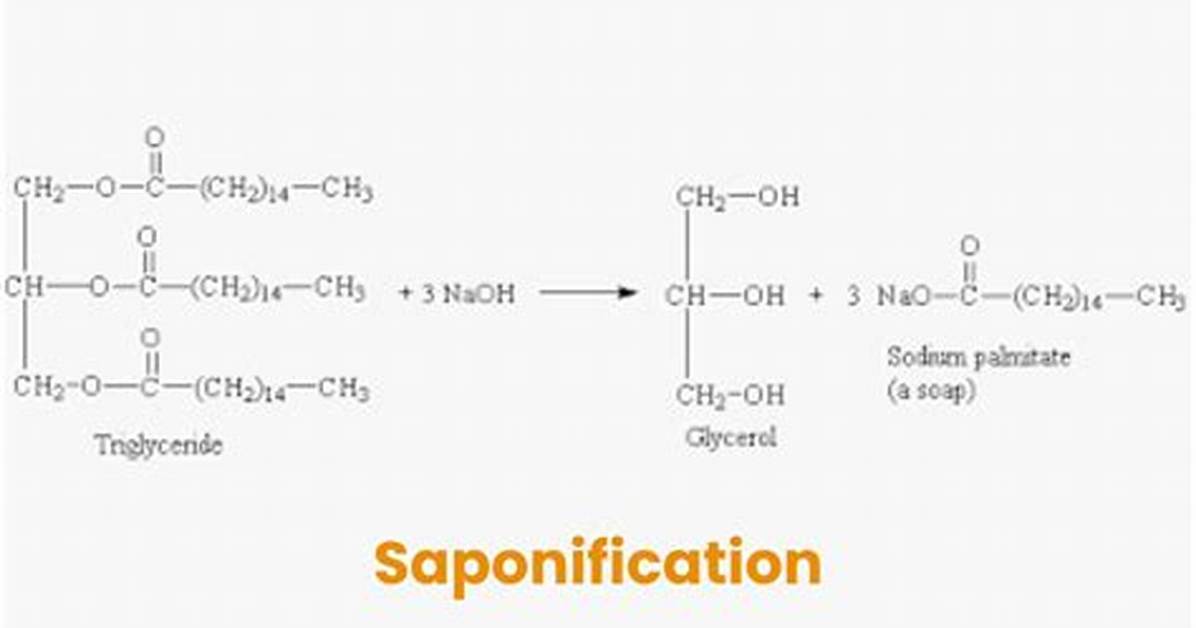 When Does Saponification Occur?