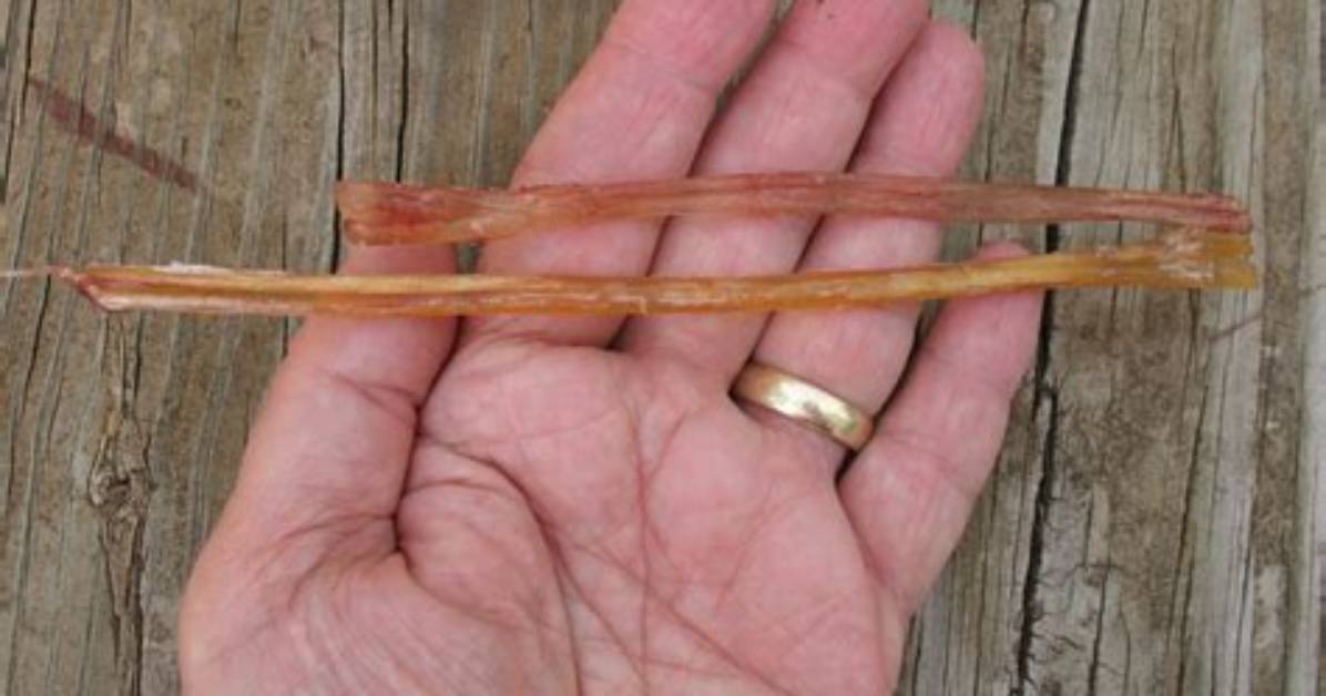 When Does Sinew Mean?