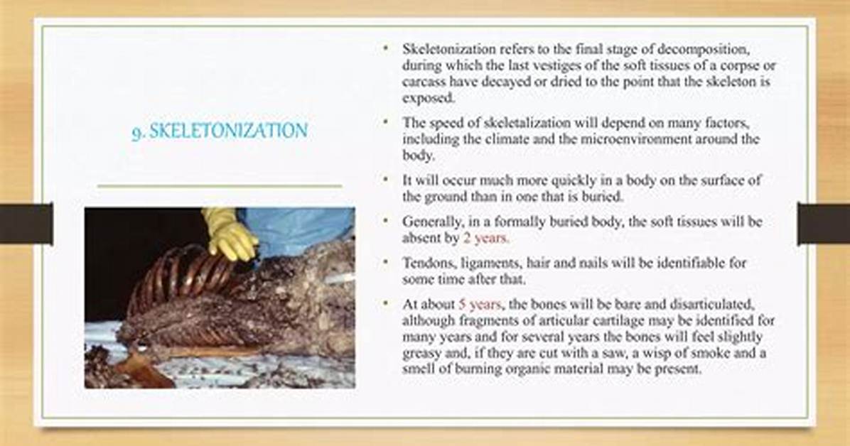 When Does Skeletonization Occur?