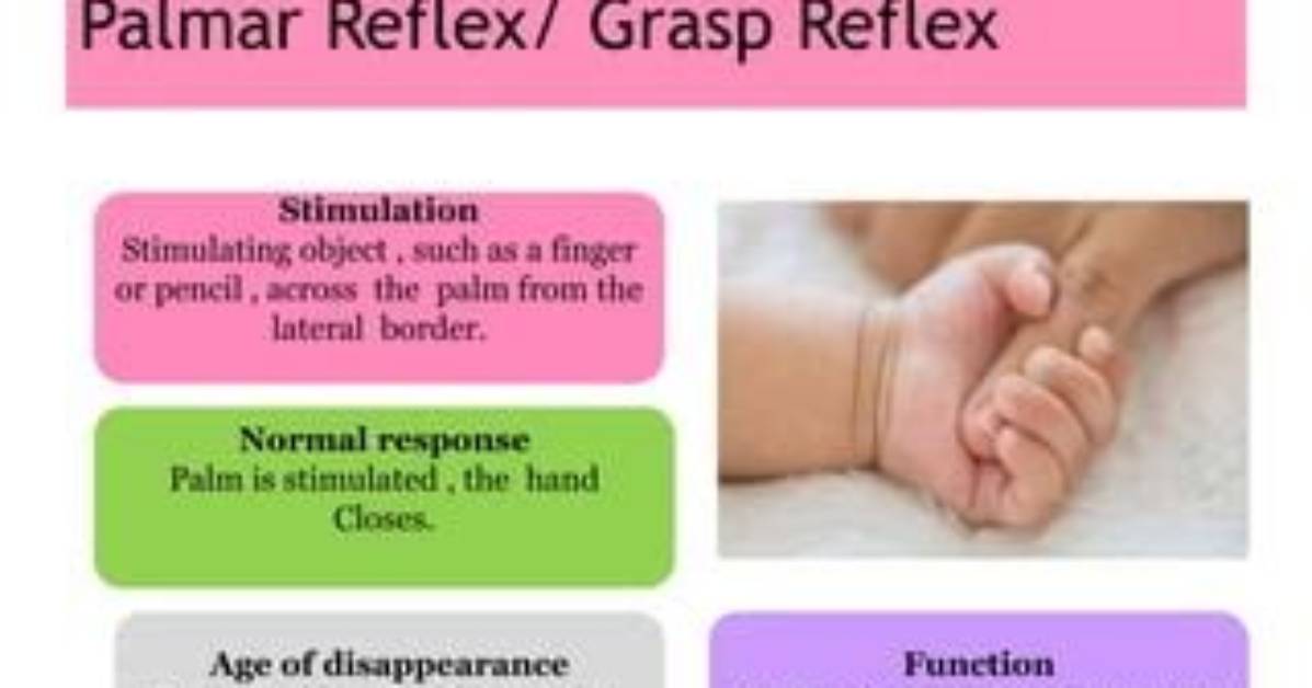 When Does the Palmar Grasp Reflex Begin?