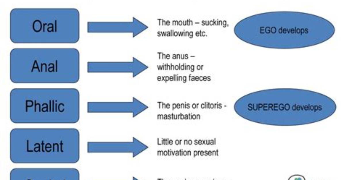 When Does the Phallic Stage Occur?