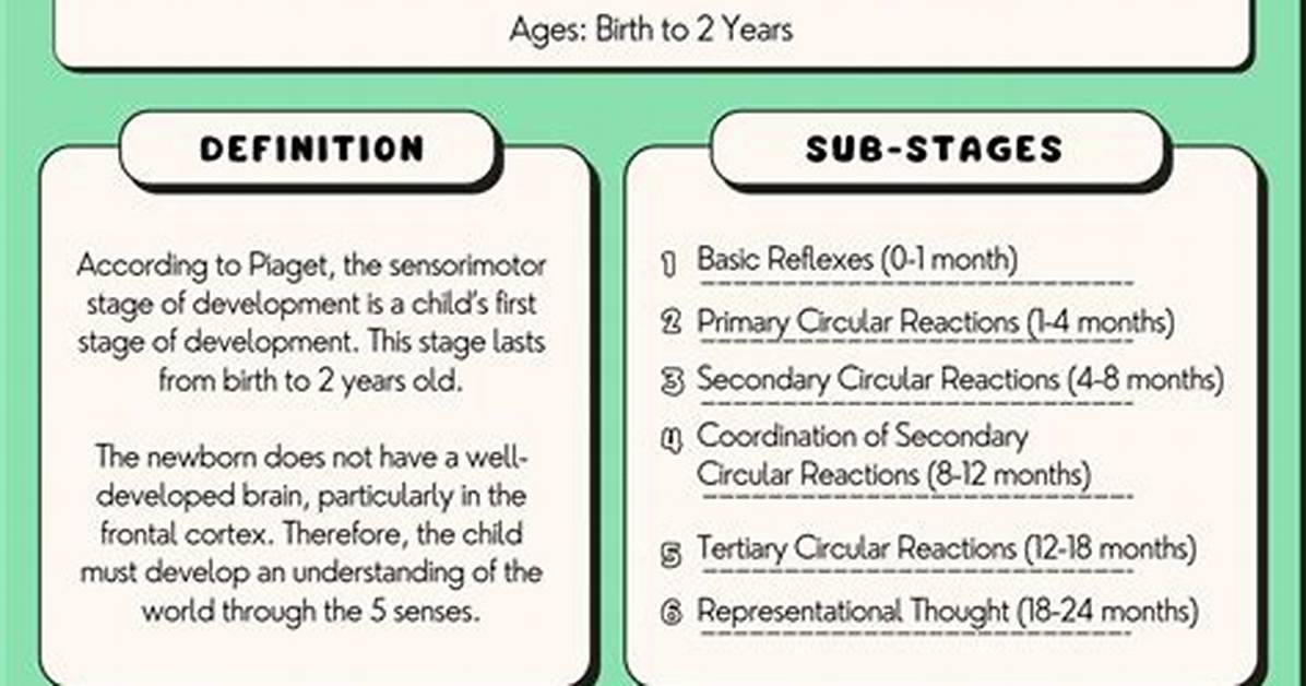 When Does the Sensorimotor Stage Begin?