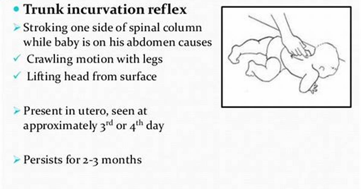 When Does Truncal Incurvation Reflex Disappear?