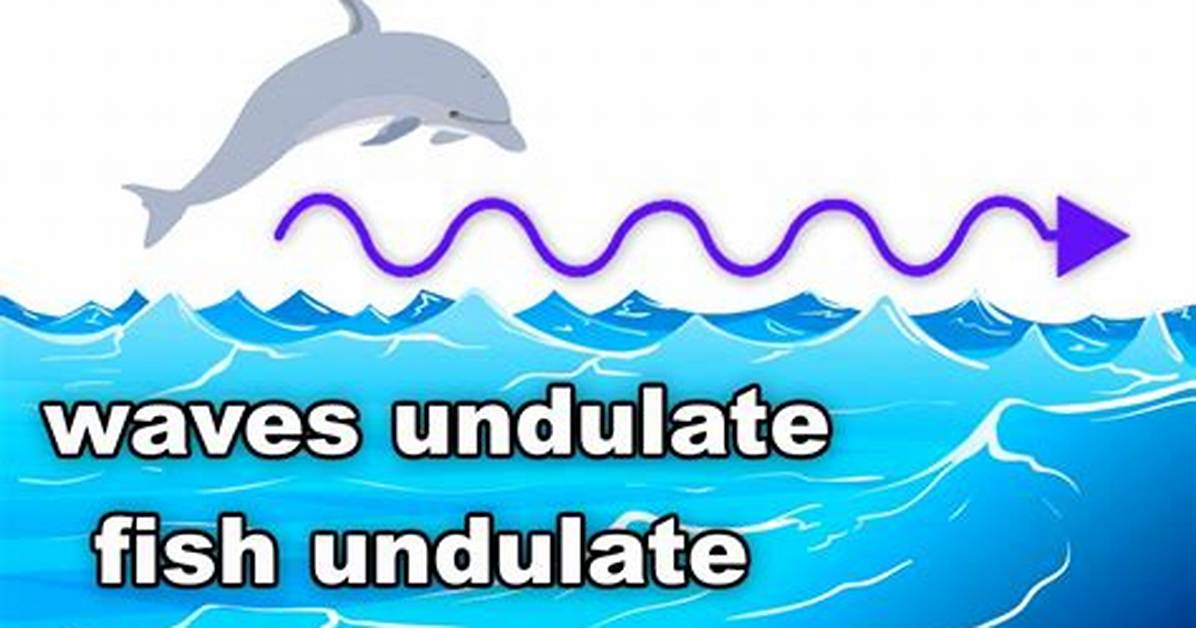 When Does Undulate Mean?