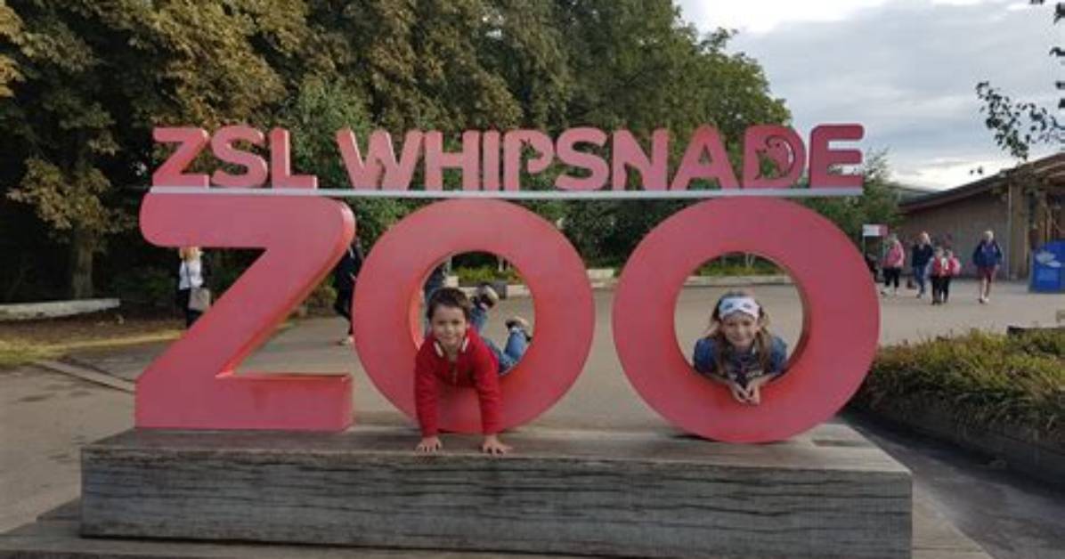 When Does Whipsnade Zoo Open?