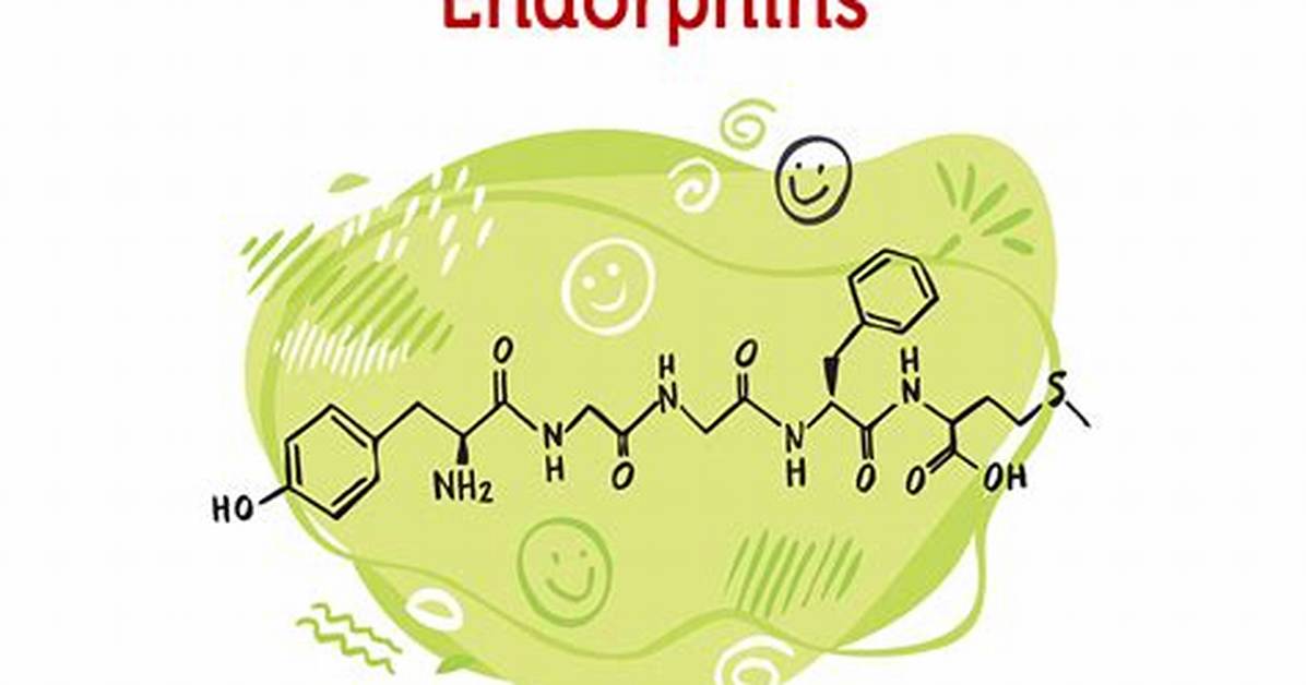 When Endorphins Are Released?