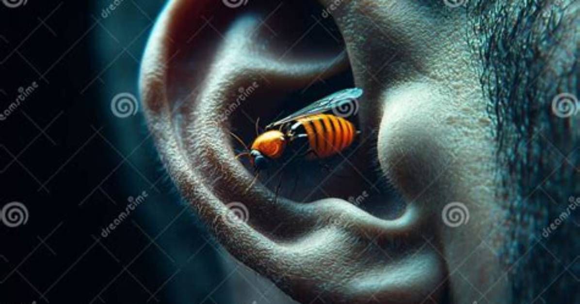 When Insect Enters Ear?