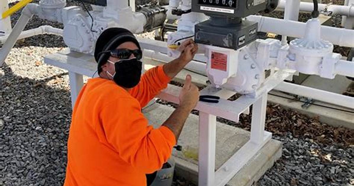 When Inspecting Free Weights Make Sure?