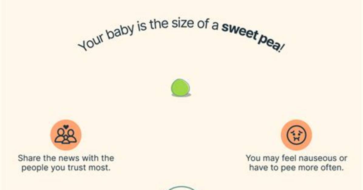 When Is 6 Weeks Pregnant?