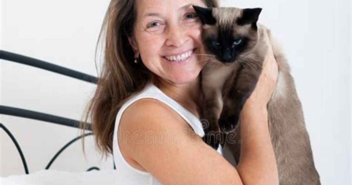 When Is a Cat Middle Aged?
