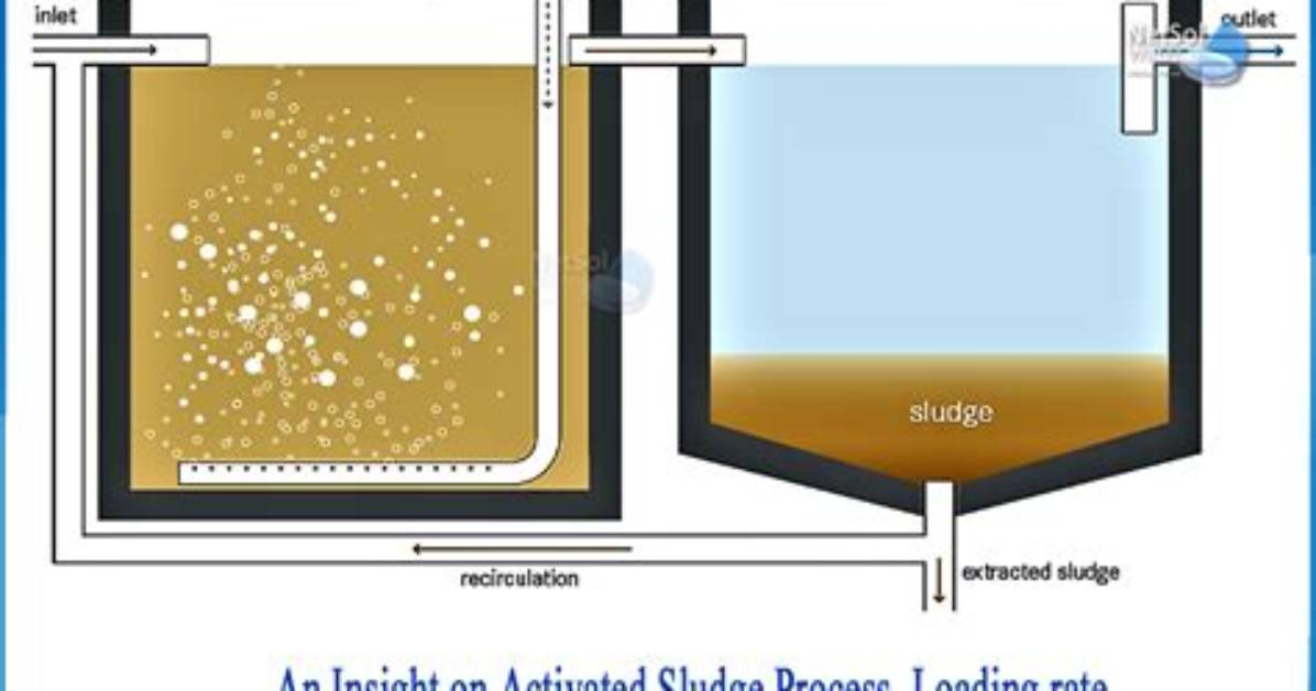 When Is Activated Sludge Used?