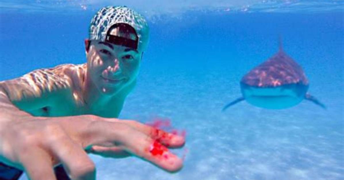 When Is Mark Rober on Shark Week?