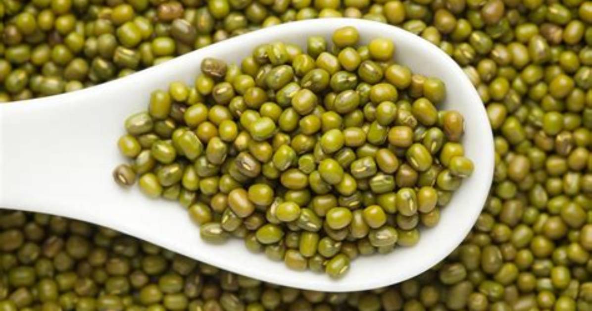 When Is Moong Dal Sown?