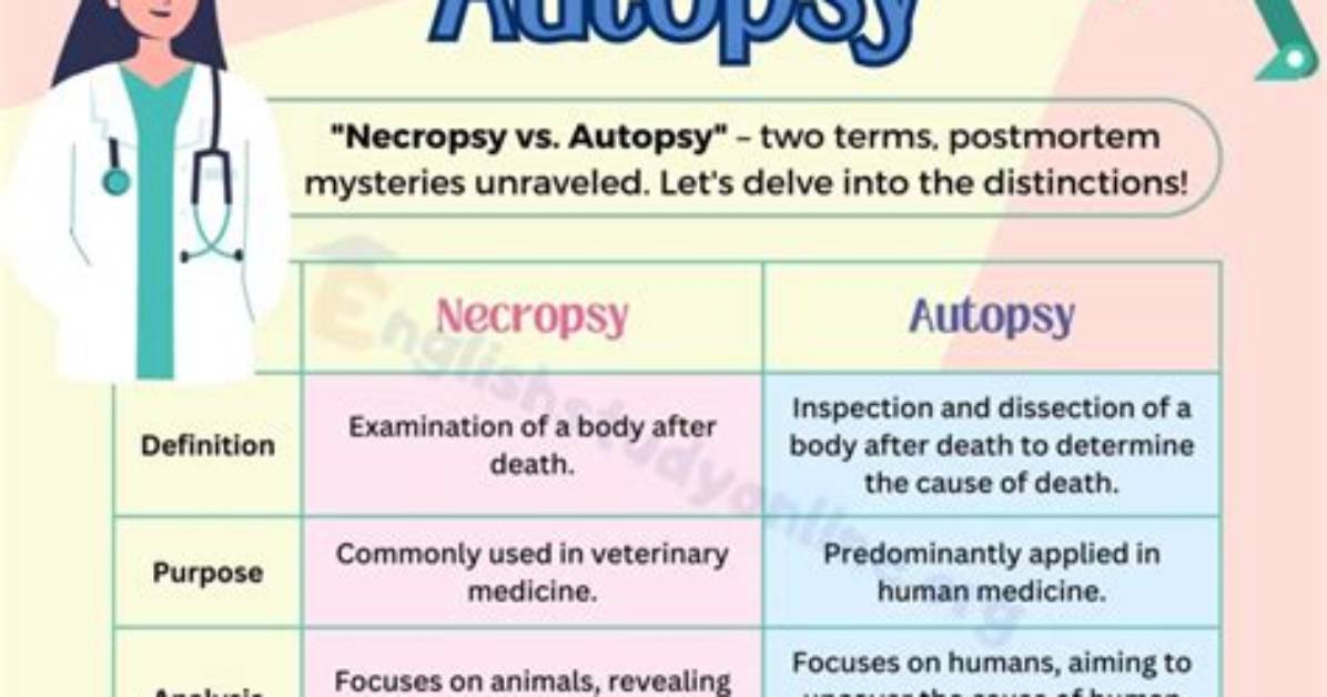 When Is Necropsy Used?