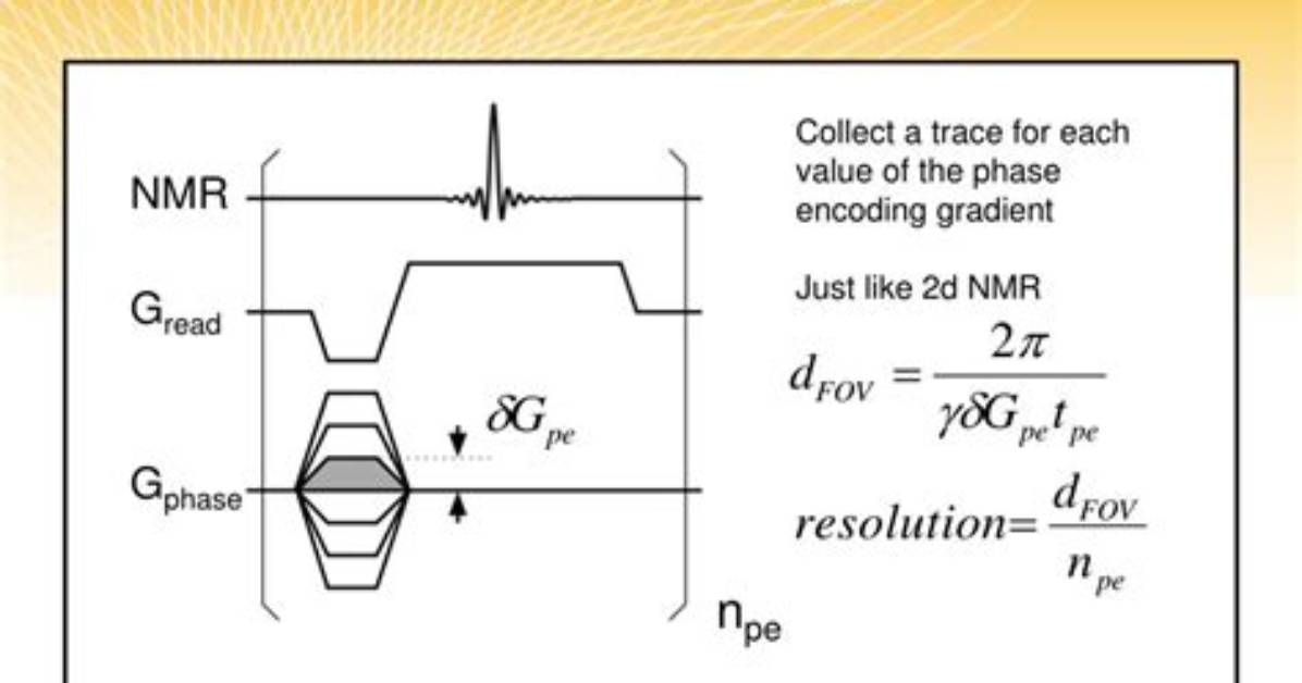When Is Phase Encoding?