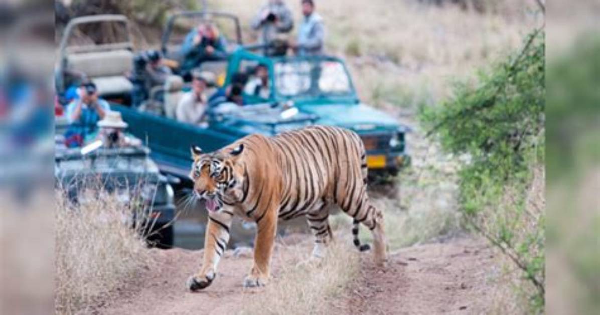 When Is Sariska Tiger Reserve Open?