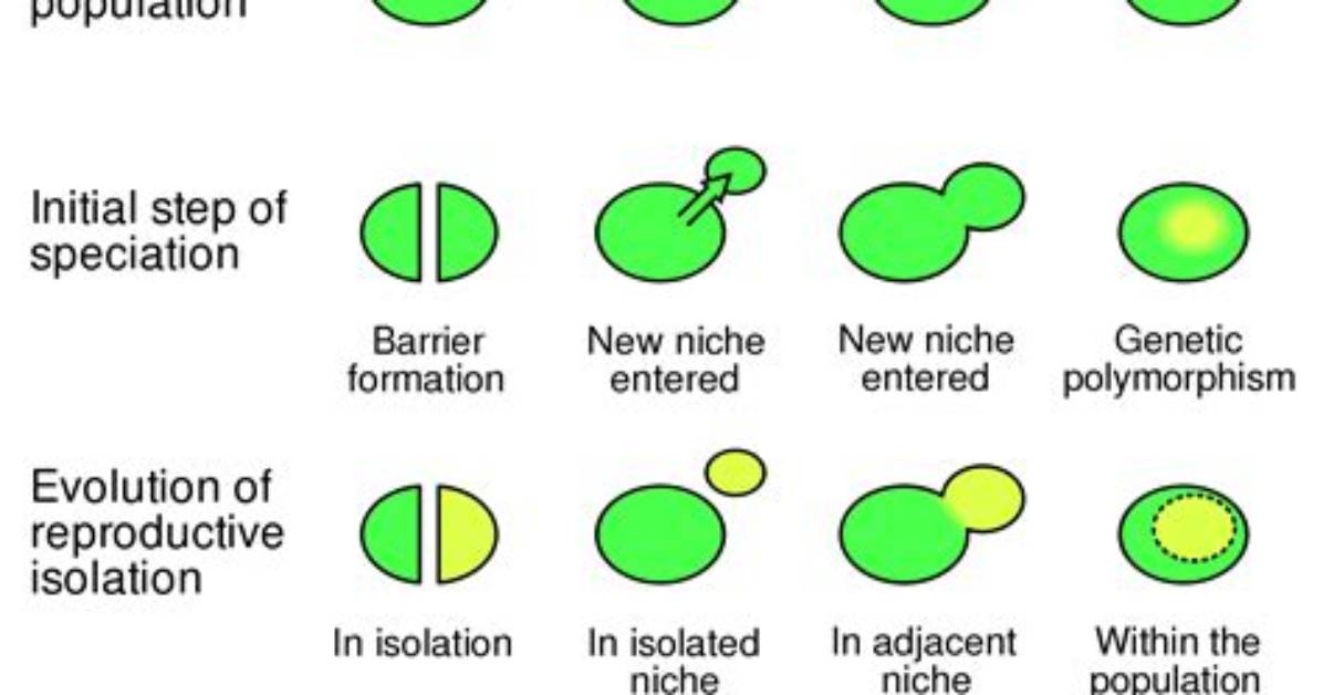 When Is Speciation Complete - Lisbd-Net. Com