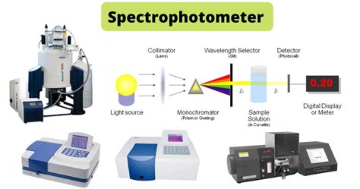 When Is Spectrophotometry Used?