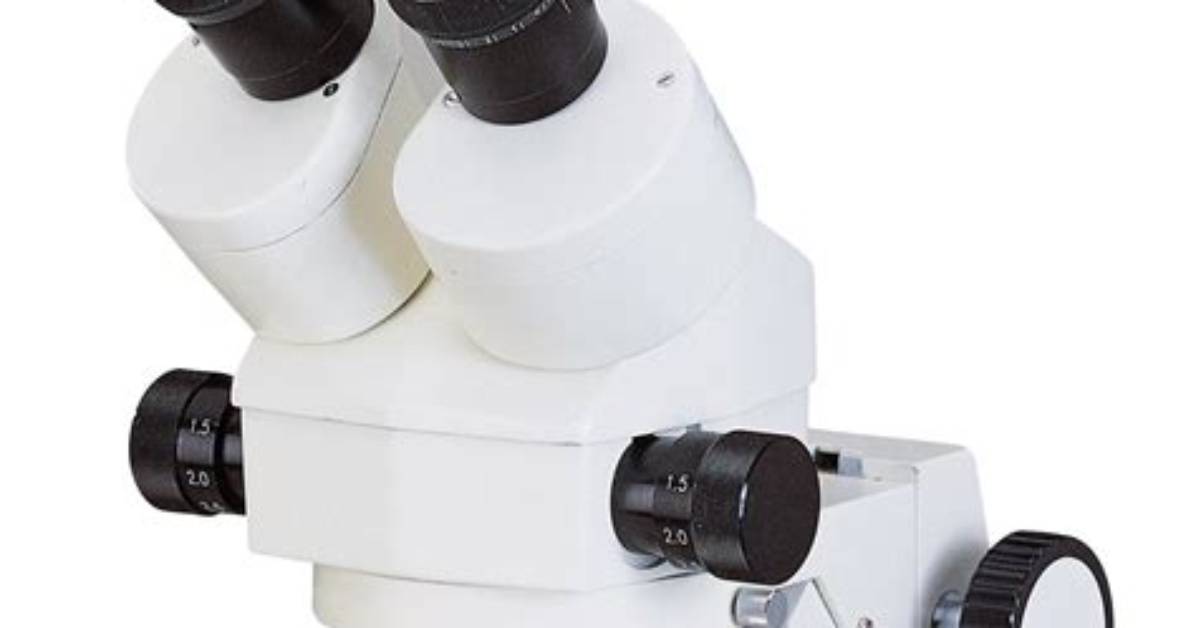 When Is Stereoscopic Microscope Used?