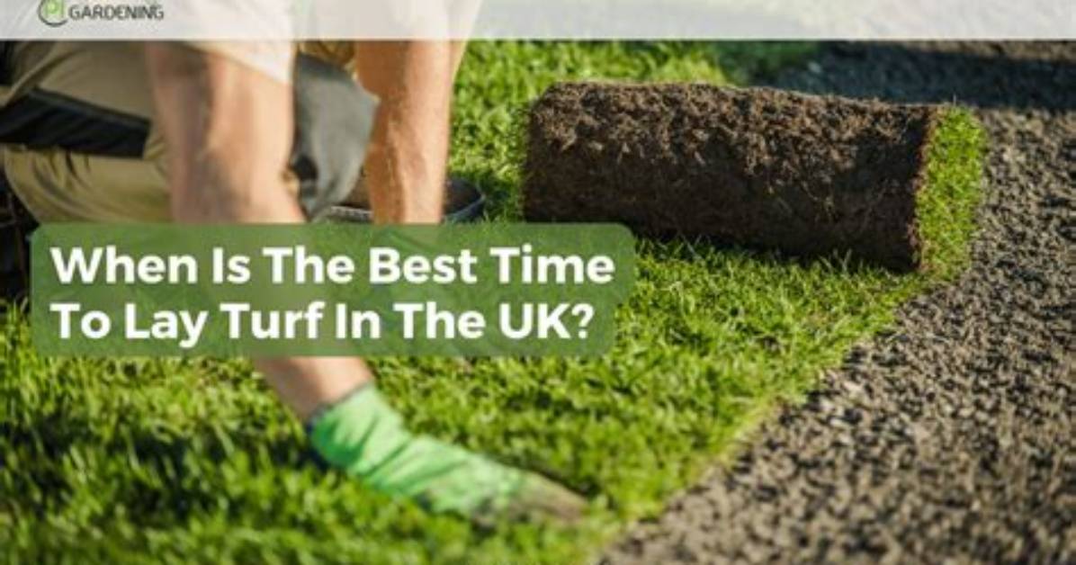 When Is the Best Time to Lay Sod in Colorado